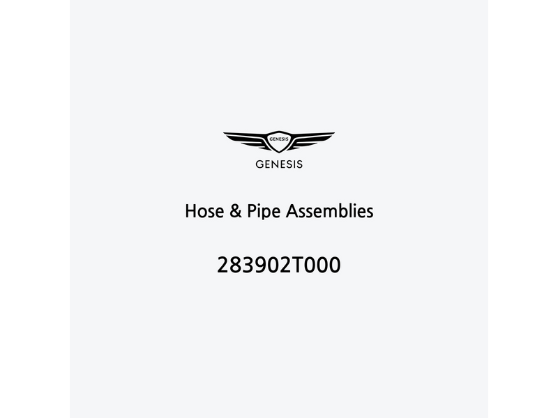 hose-and-pipe-assemblies-283902t000-de