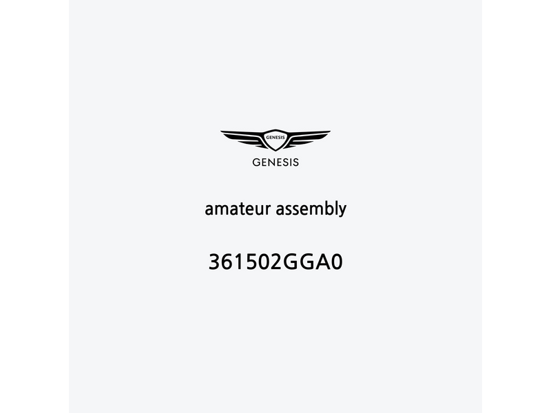 amateur-assembly-361502gga0-de