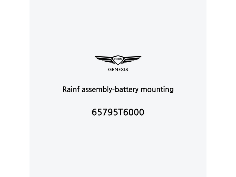 rainf-assembly-battery-mounting-65795t6000-ar