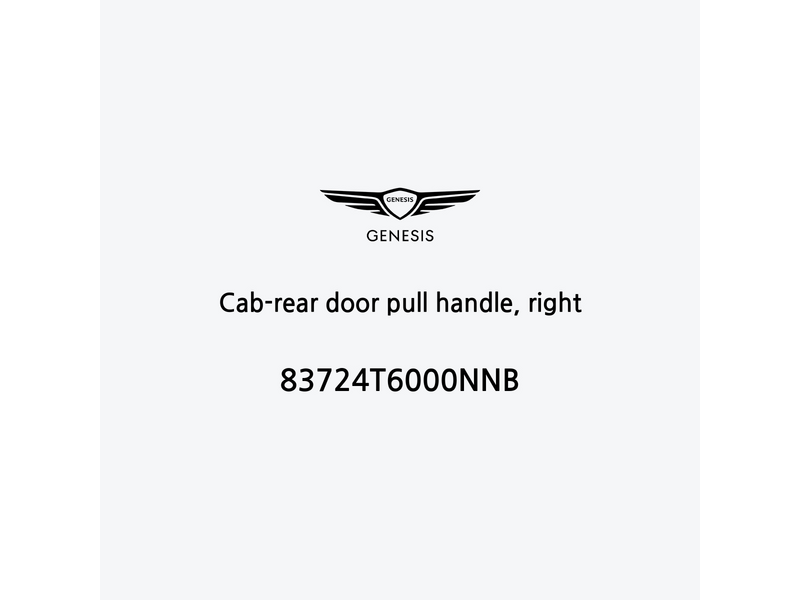 cab-rear-door-pull-handle-right-83724t6000nnb-pt