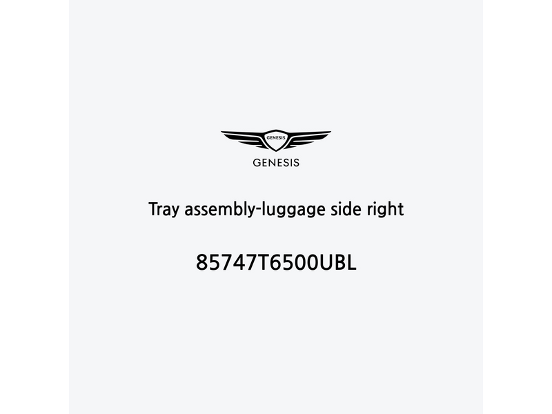 tray-assembly-luggage-side-right-85747t6500ubl-fr