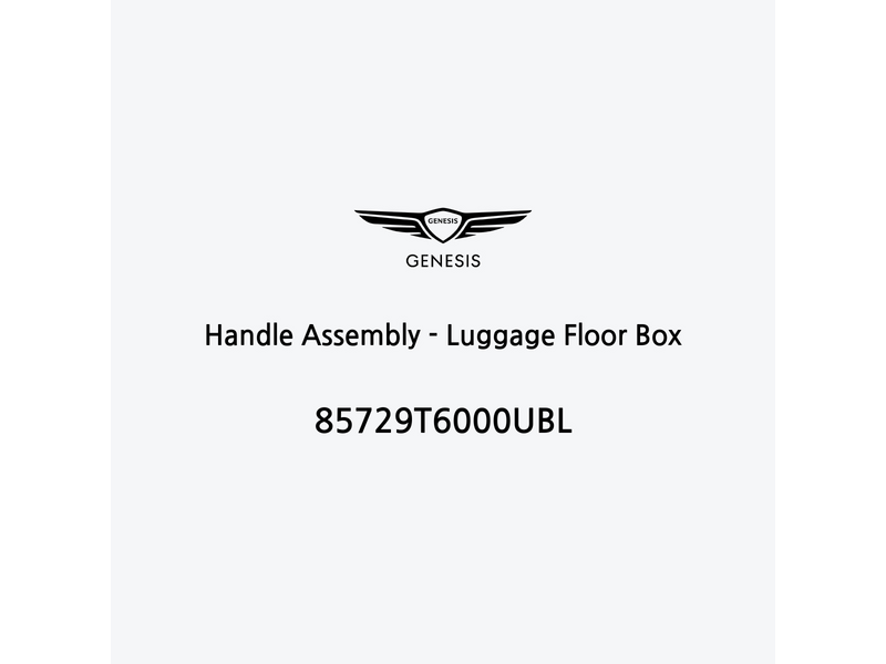 handle-assembly-luggage-floor-box-85729t6000ubl-de