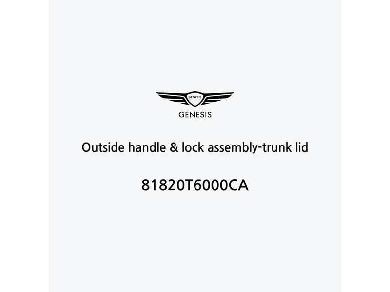 outside-handle-and-lock-assembly-trunk-lid-81820t6000ca-it