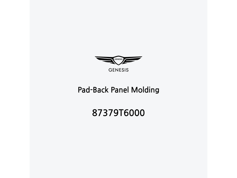 pad-back-panel-molding-87379t6000-fr