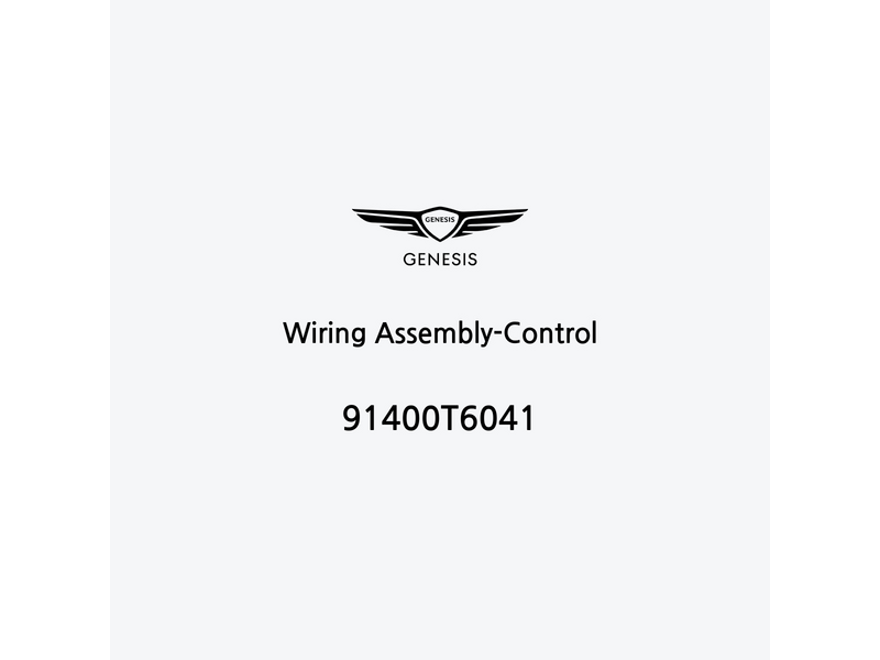 wiring-assembly-control-91400t6041-ar