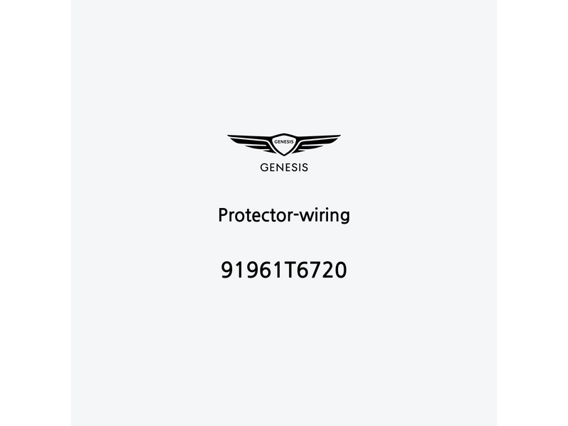 protector-wiring-91961t6720