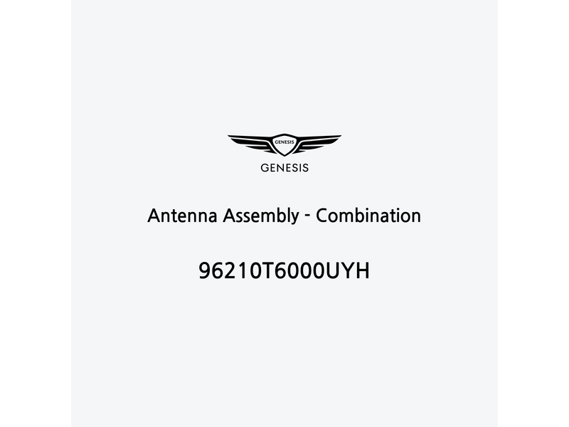 antenna-assembly-combination-96210t6000uyh-it