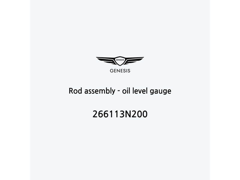 rod-assembly-oil-level-gauge-266113n200-de