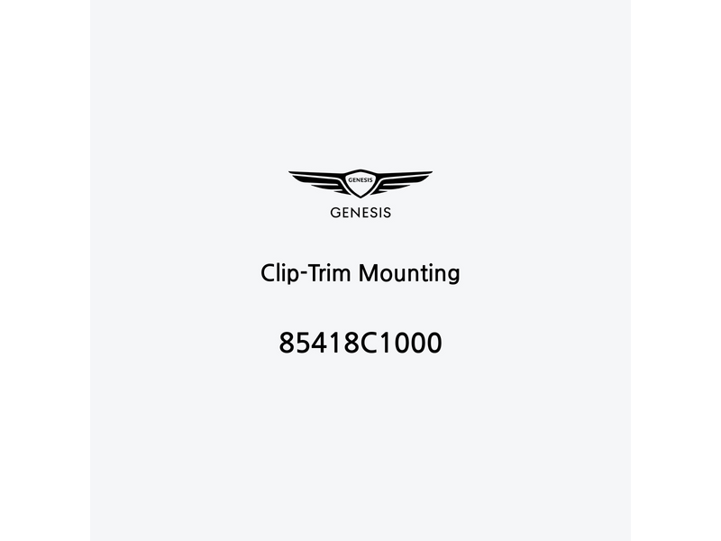 clip-trim-mounting-85418c1000-it