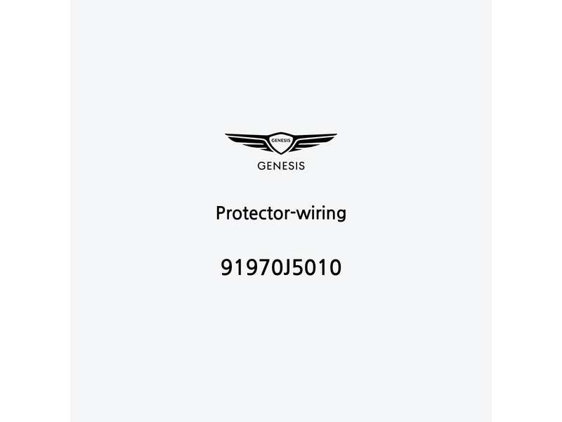 protector-wiring-91970j5010-es