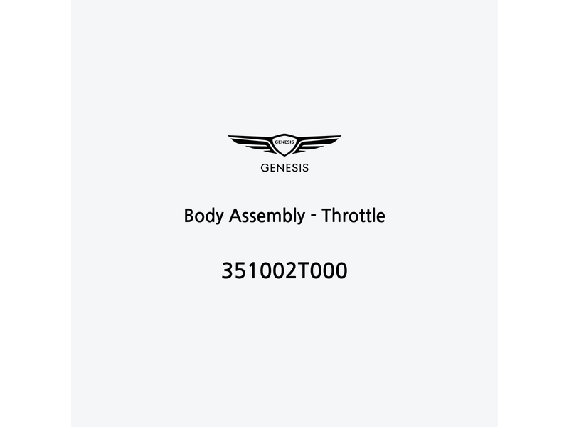 body-assembly-throttle-351002t000-es