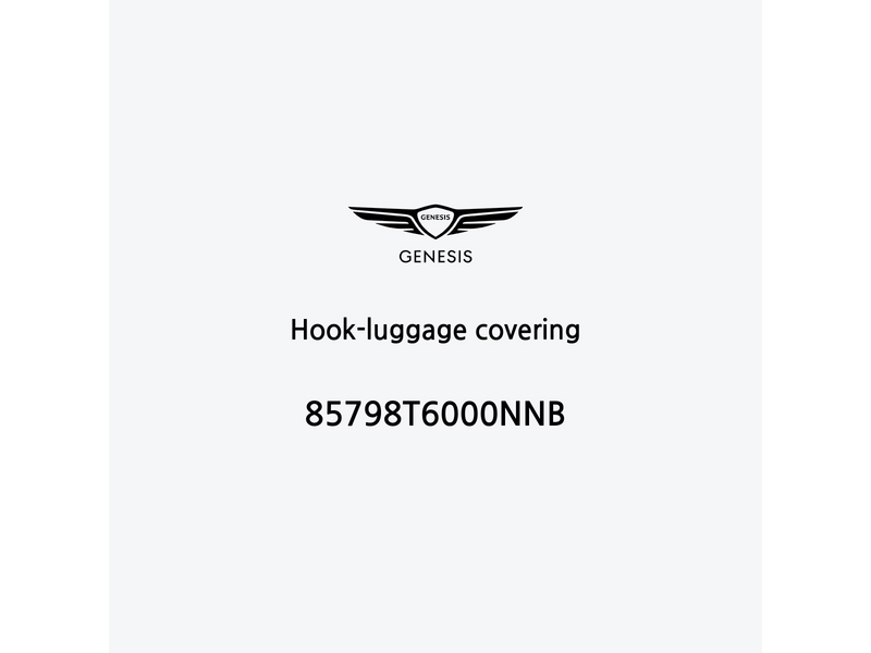 hook-luggage-covering-85798t6000nnb-de