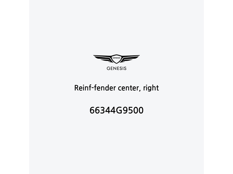 reinf-fender-center-right-66344g9500-it