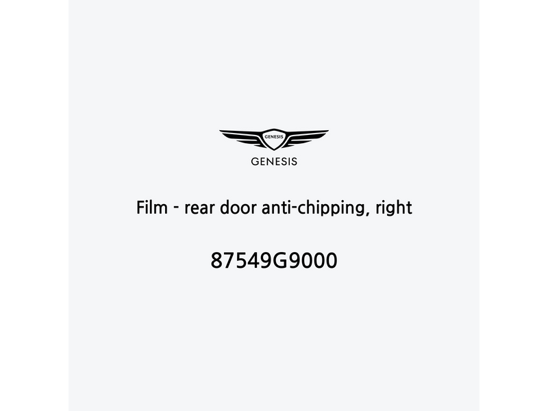 film-rear-door-anti-chipping-right-87549g9000-fr