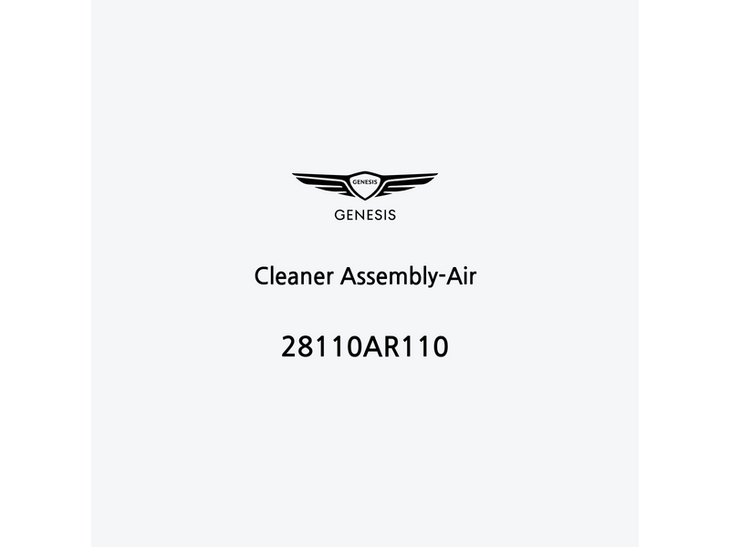 cleaner-assembly-air-28110ar110-it