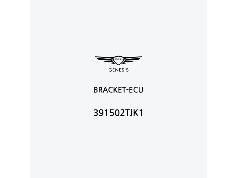 bracket-ecu-391502tjk1