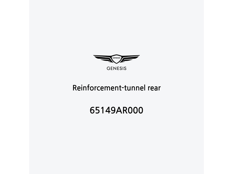 reinforcement-tunnel-rear-65149ar000-pt