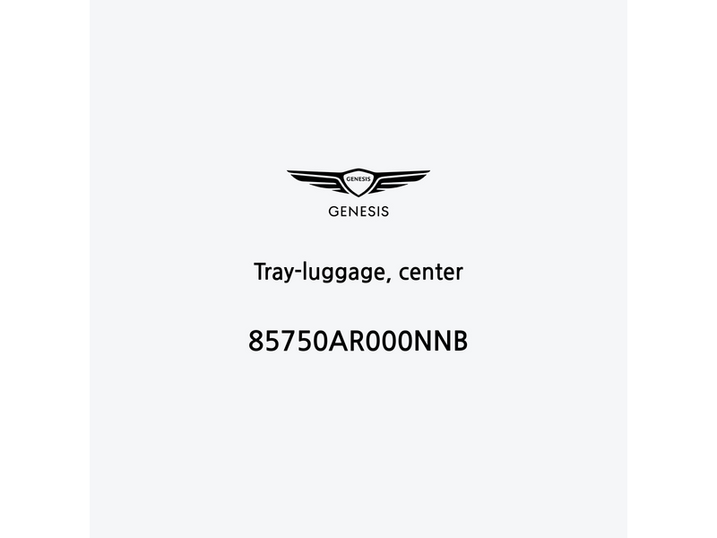 tray-luggage-center-85750ar000nnb