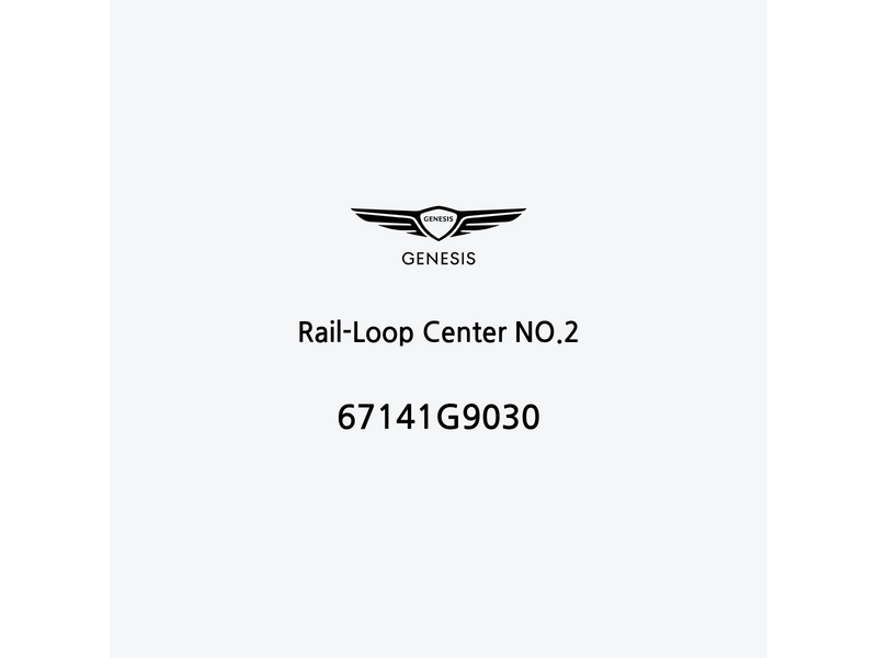 rail-loop-center-no-2-67141g9030-fr