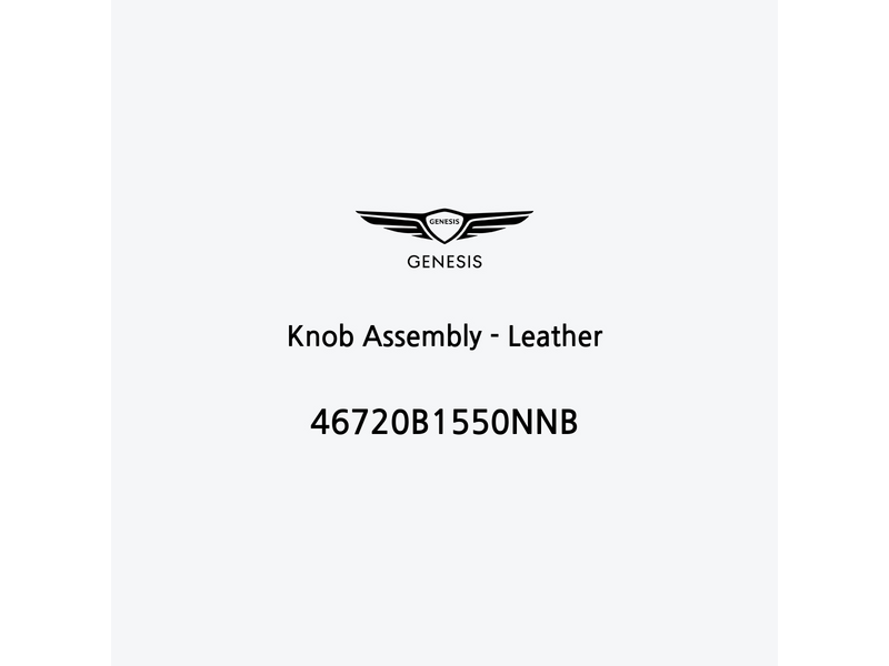 knob-assembly-leather-46720b1550nnb-it