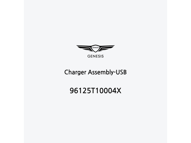 charger-assembly-usb-96125t10004x-fr