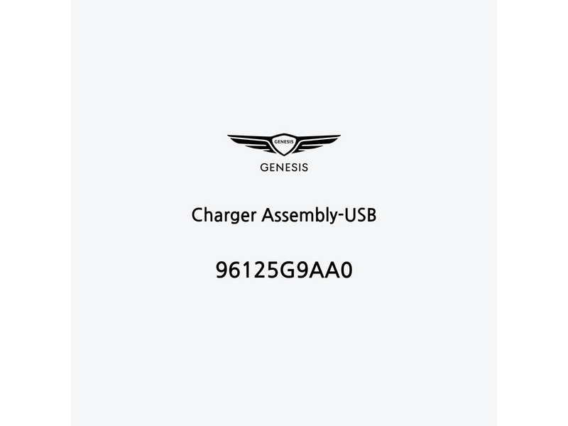 charger-assembly-usb-96125g9aa0-it