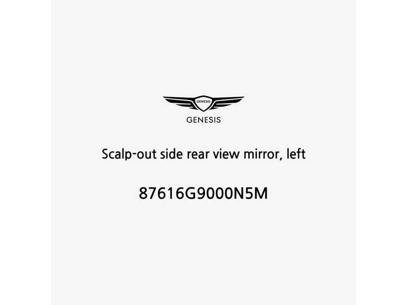 scalp-out-side-rear-view-mirror-left-87616g9000n5m-it