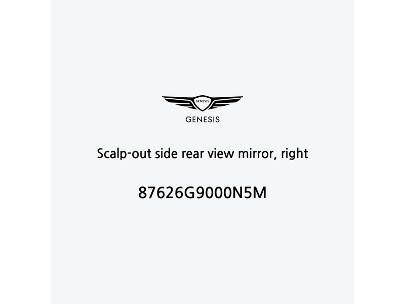 scalp-out-side-rear-view-mirror-right-87626g9000n5m-it