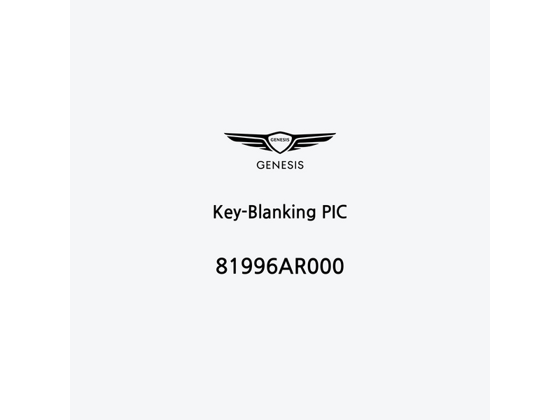 key-blanking-pic-81996ar000-es