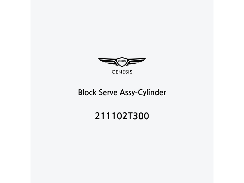 block-serve-assy-cylinder-211102t300-pt