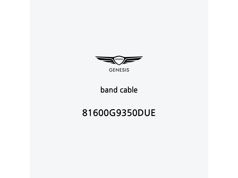 band-cable-81600g9350due-it