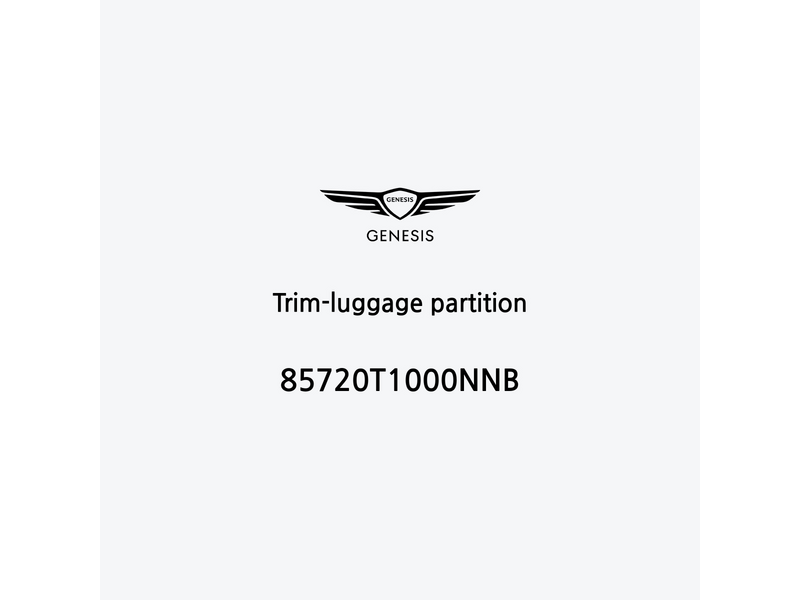 trim-luggage-partition-85720t1000nnb-fr