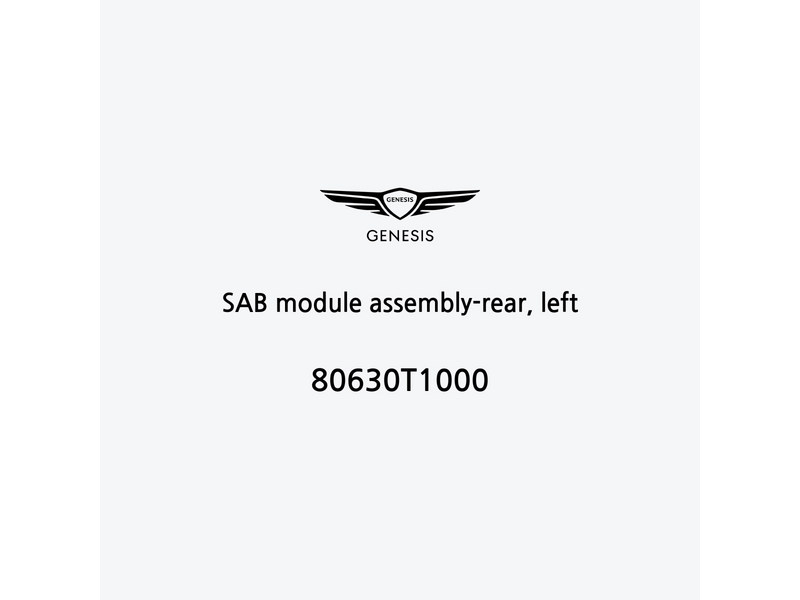 sab-module-assembly-rear-left-80630t1000-ar