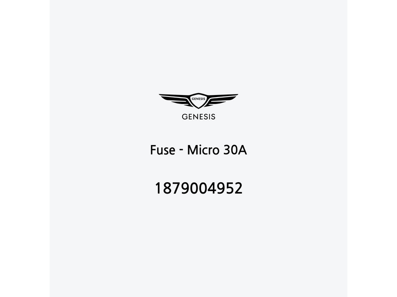 fuse-micro-30a-1879004952-de