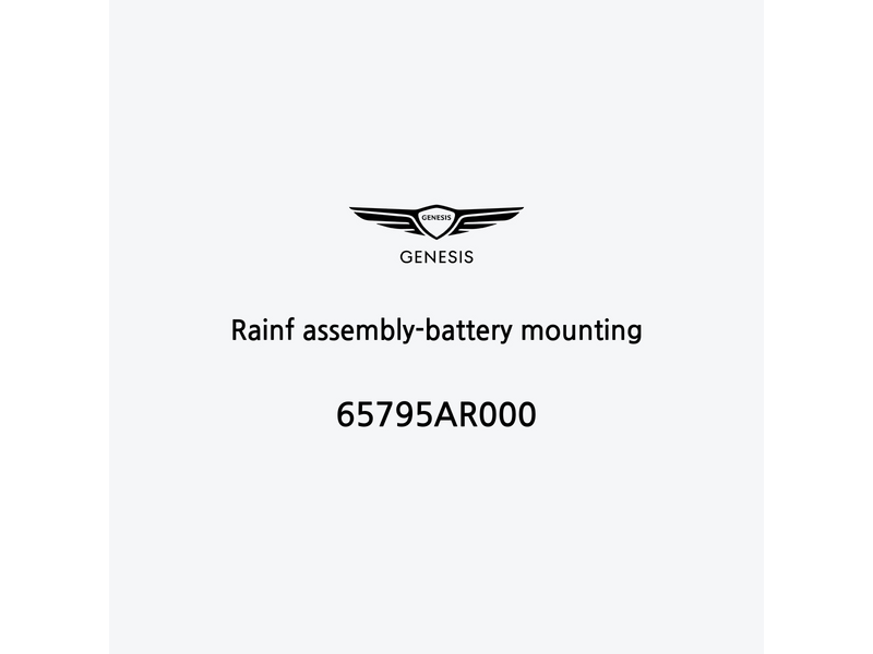 rainf-assembly-battery-mounting-65795ar000-pt