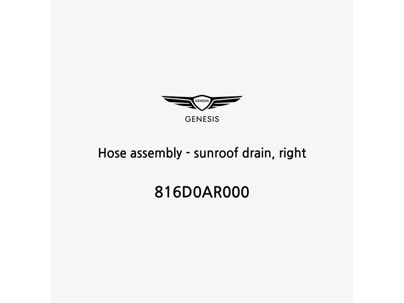 hose-assembly-sunroof-drain-right-816d0ar000