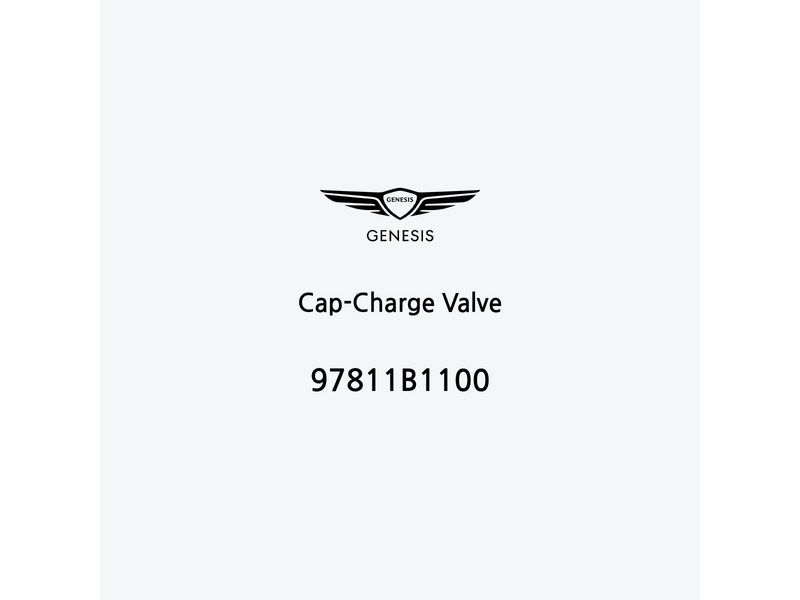 cap-charge-valve-97811b1100-es