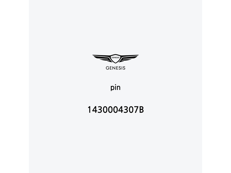 pin-1430004307b-de