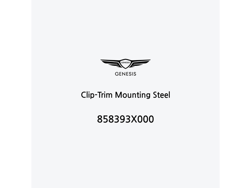 clip-trim-mounting-steel-858393x000