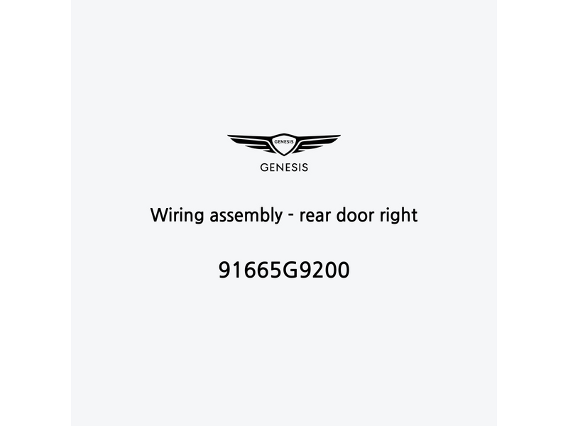 wiring-assembly-rear-door-right-91665g9200-fr