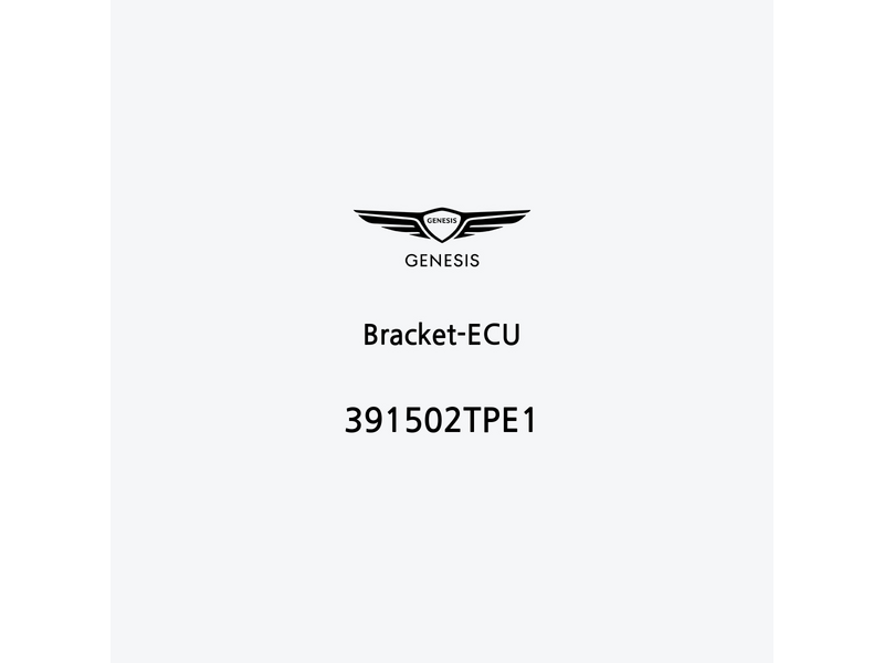 bracket-ecu-391502tpe1