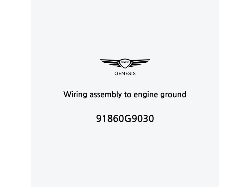 wiring-assembly-to-engine-ground-91860g9030-it