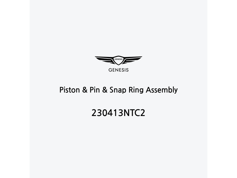 piston-and-pin-and-snap-ring-assembly-230413ntc2-pt