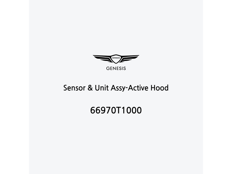 sensor-and-unit-assy-active-hood-66970t1000-fr