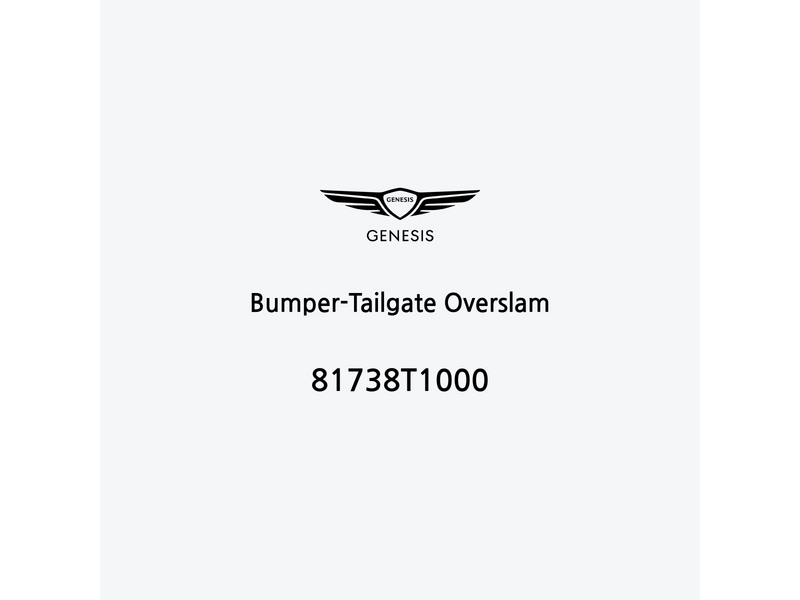 bumper-tailgate-overslam-81738t1000-pt