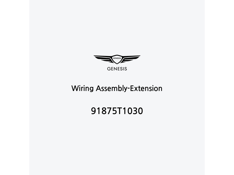 wiring-assembly-extension-91875t1030-fr