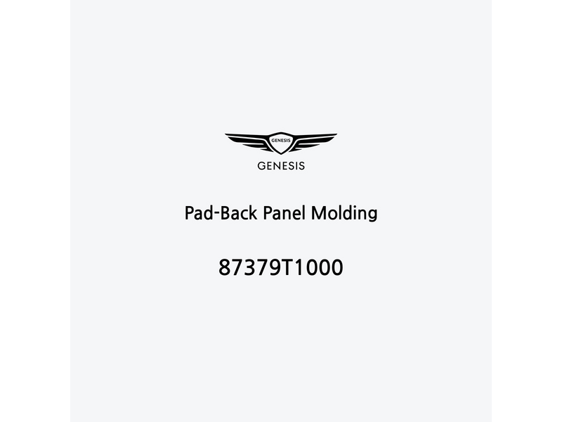 pad-back-panel-molding-87379t1000-fr