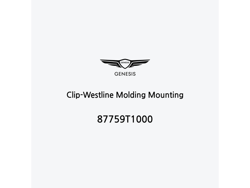 clip-westline-molding-mounting-87759t1000-de