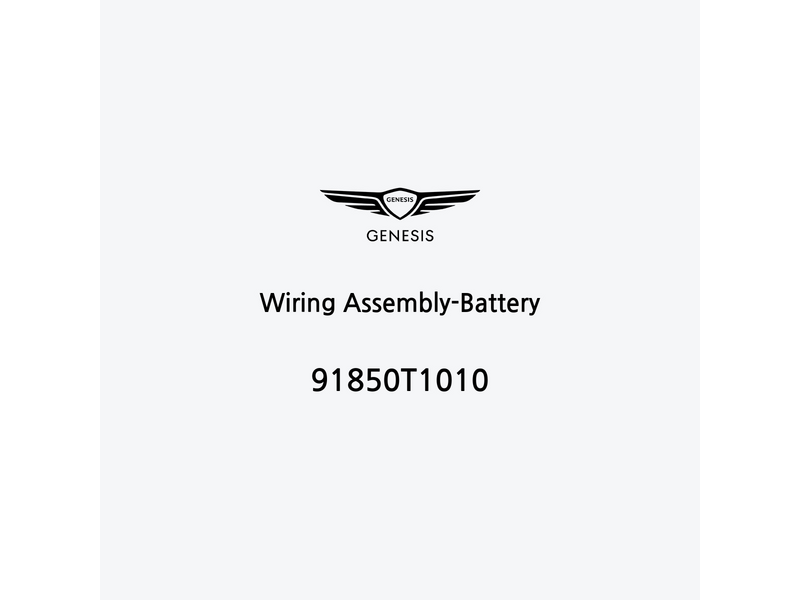 wiring-assembly-battery-91850t1010-it