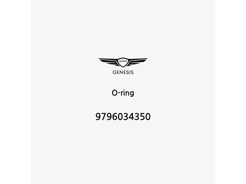 o-ring-9796034350-fr